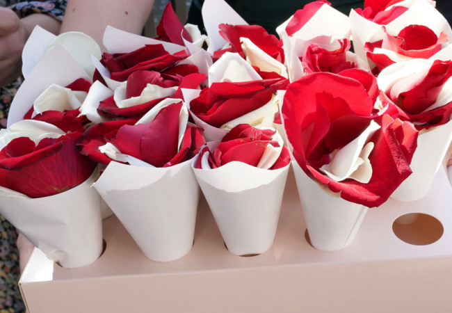 professioneller Hochzeitsfotograf für moderne Hochzeitsfotos_Hochzeitsfotograf Stuttgart_Hochzeitsfotografie_profesionelle hochzeitsbilder_Hochzeitsreportage_Fotostudio