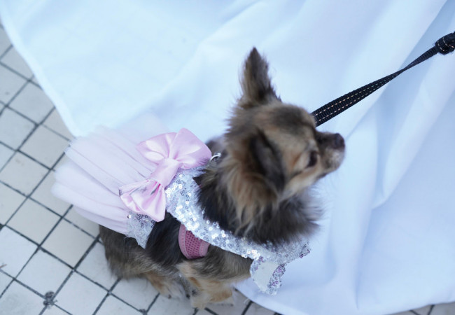 professioneller Hochzeitsfotograf für moderne Hochzeitsfotos_Hochzeitsfotograf Stuttgart_Hochzeitsfotografie_profesionelle hochzeitsbilder_Hochzeitsreportage_Fotostudio_destination wedding_wedding photographer